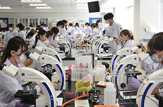 形態系定量系実習室内、実習中の画像